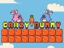 Loopy Bunny