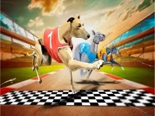 Loopy Canine Racing Recreation 2020