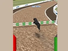 Canine Racing Simulator