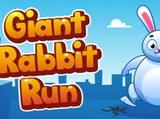 Large Rabbit Run