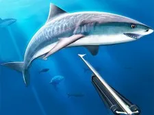 Searching underwater spearfishing