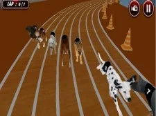 Actual Canine Racing Simulator Sport 2020
